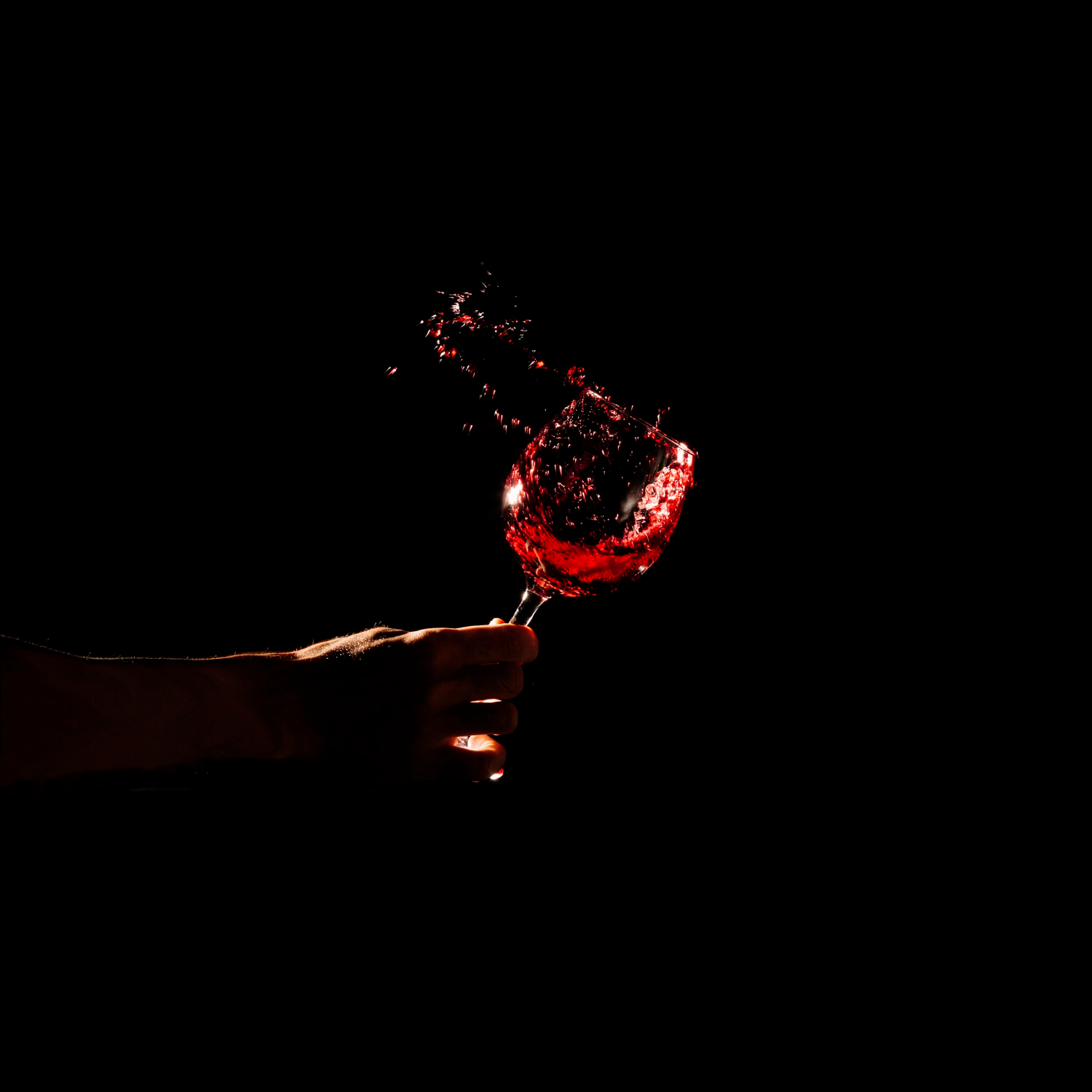 Lote de 2 botellas de vino rioja